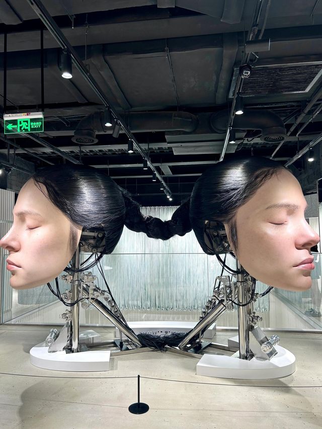上海巨人展 ，哇哇哇