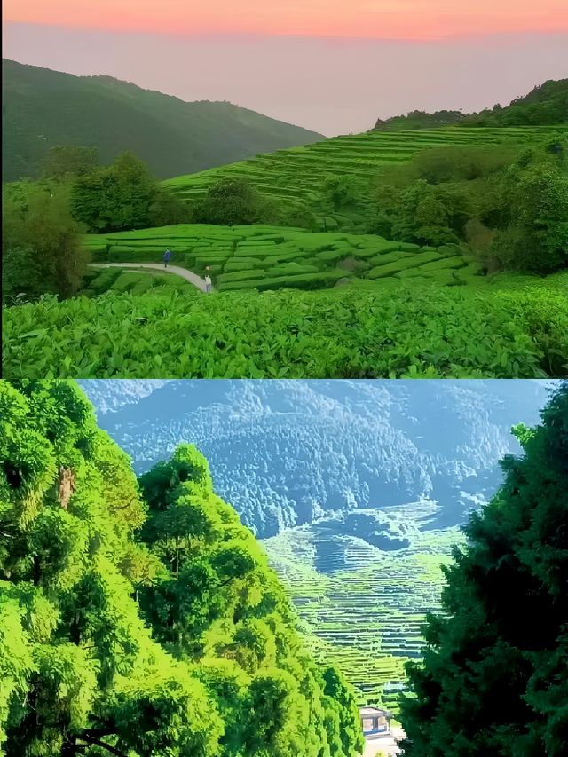 廣西小新疆