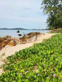 🏝️ Phu Quoc: Vietnam's Largest Island with a Twist 🇻🇳