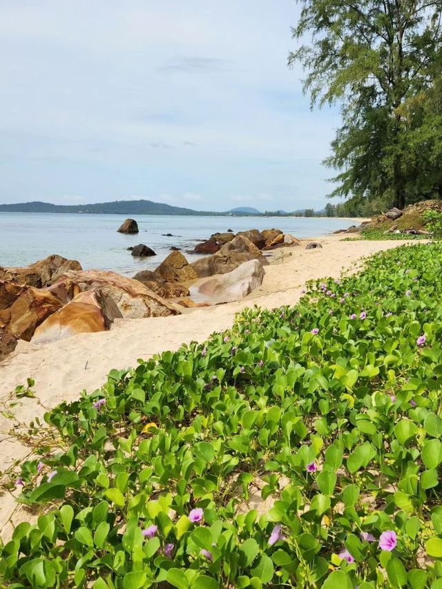 🏝️ Phu Quoc: Vietnam's Largest Island with a Twist 🇻🇳