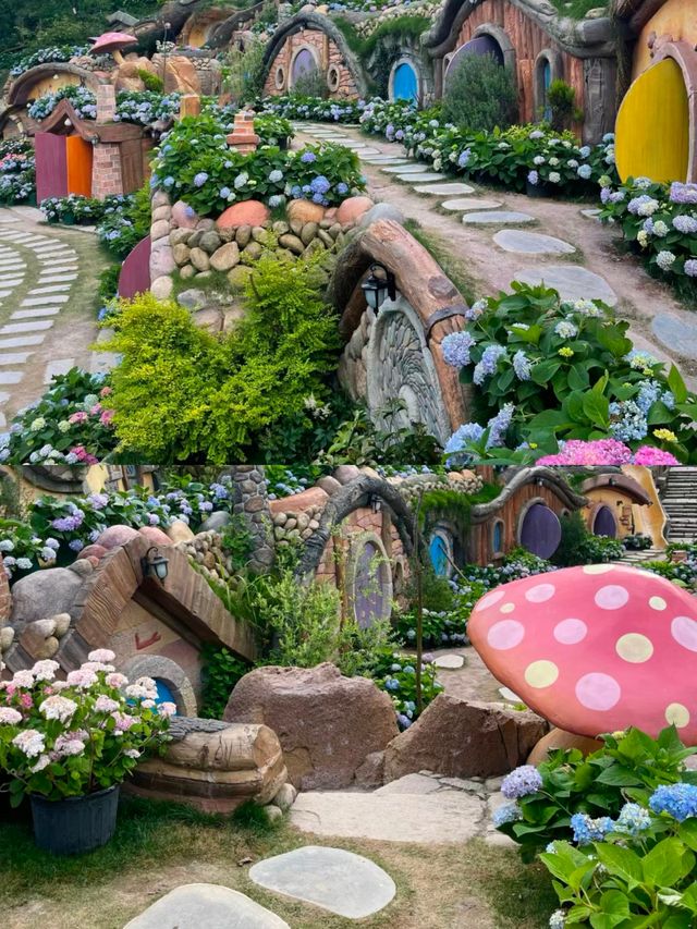 筱村公社繡球花 | 現實版愛麗絲夢幻花園