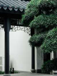 家人們誰懂啊 不出成都也能住進蘇式園林