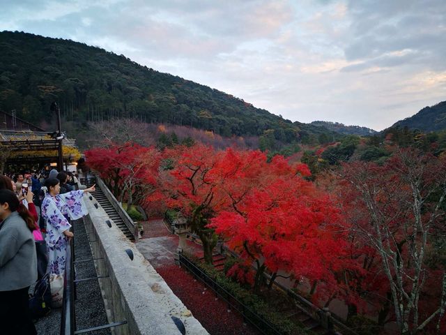 清水寺，京都必來之地