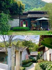 不用去大理這是廣東惠州有風的地方|||