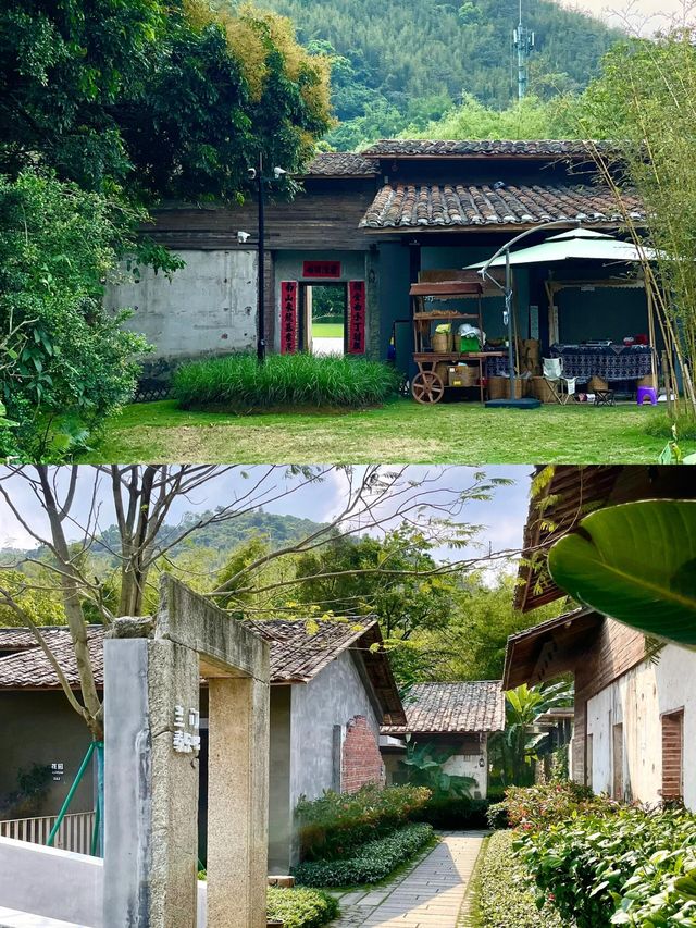 不用去大理這是廣東惠州有風的地方|||