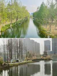 長沙周邊遊——洋湖濕地公園