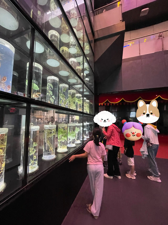 帶娃過暑假|後悔才知道真有不花錢遛娃好地方