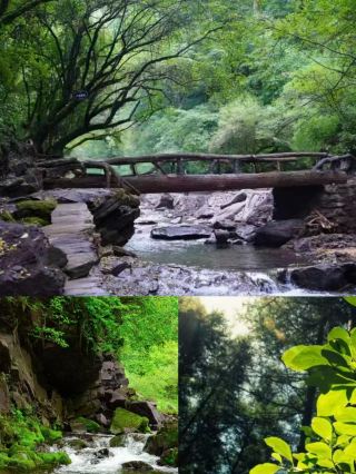 18 degrees in Liupan Mountain, the cool and pleasant Xiao Nanchuan is now open!