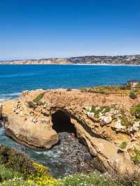 🌊 San Diego Splendors: Sun, Surf, and Seals Galore! 🌴