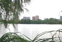 東湖公園：人與自然和諧共生
