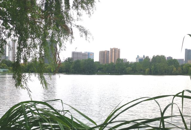 東湖公園：人與自然和諧共生