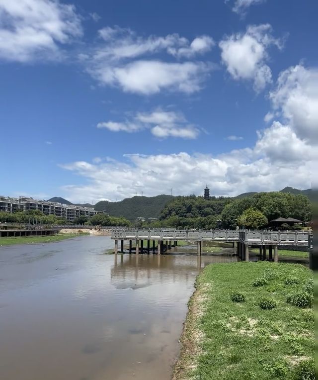 心心念念的麗水雲和梯田