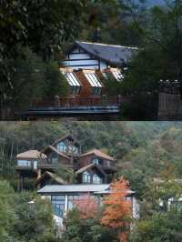 山間!木屋!溪水!森林!浙江親子王炸酒店