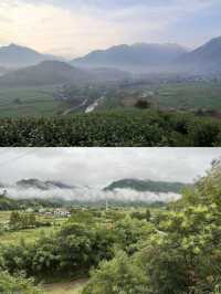 雷迪森怿曼|隱匿於茶香竹逸的溜娃好去處
