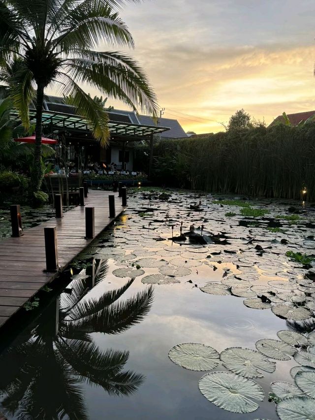 Manda de Laos   ia a perfect way to spend Weekend❤️