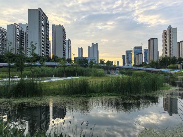 高鐵新城 臨水空間一一新龍生態濕地公園。