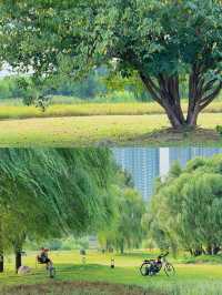 西安16個露營公園踩點!心中排前3的是...。