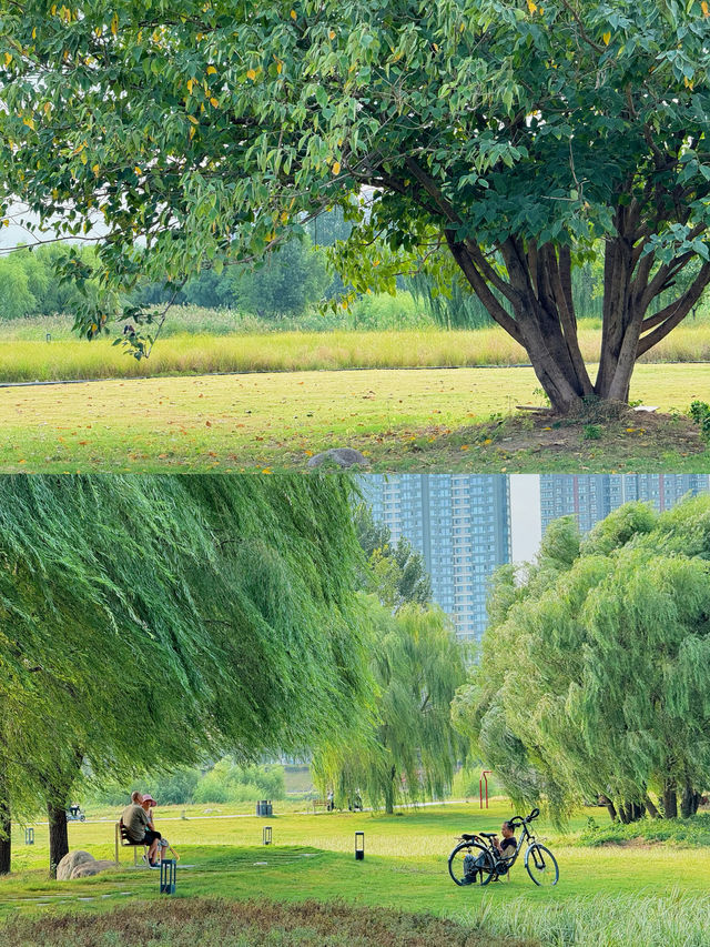 西安16個露營公園踩點!心中排前3的是...。 西安16個露營公園踩點!心中排前3的是...。