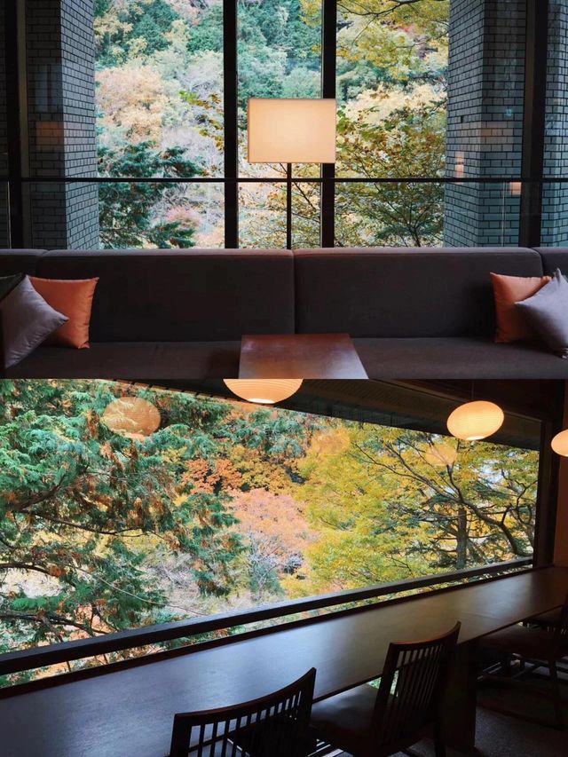 箱根最美溫泉住宿，紅葉季去會幸福到天花板。