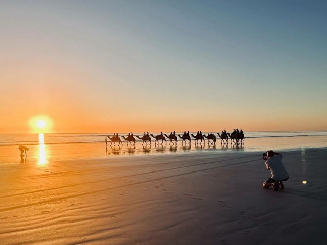 Camel and Sunset 🌅 🐫 What’s more healing than that 🇦🇺
