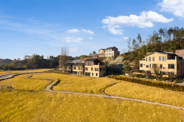 金華|住進金色稻田環繞的度假勝地。