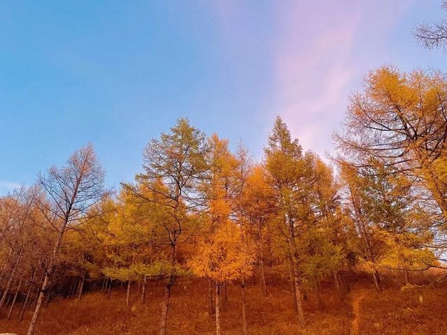 秋天畫卷般的美景。