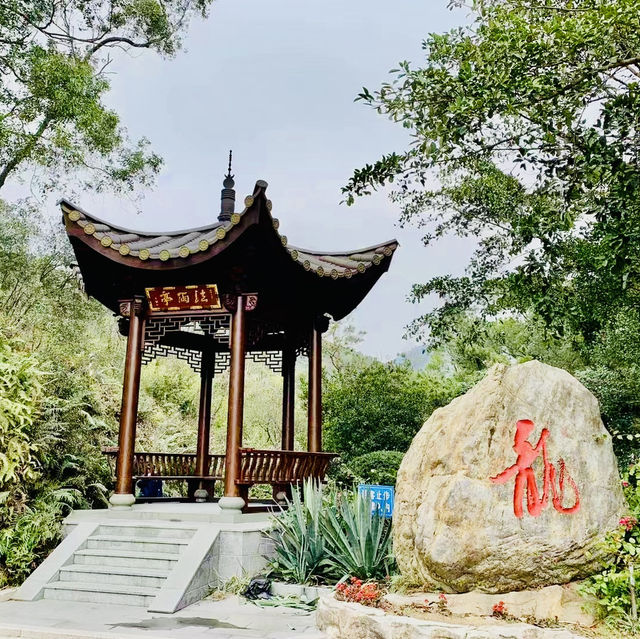 種草珠海金臺寺啦