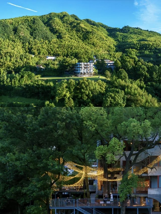 江浙滬周邊遊|就在桐廬！隱世懸崖看日出民宿。
