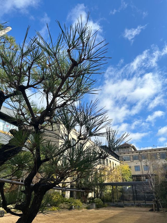京都·清水青龍酒店秘境探索之旅。