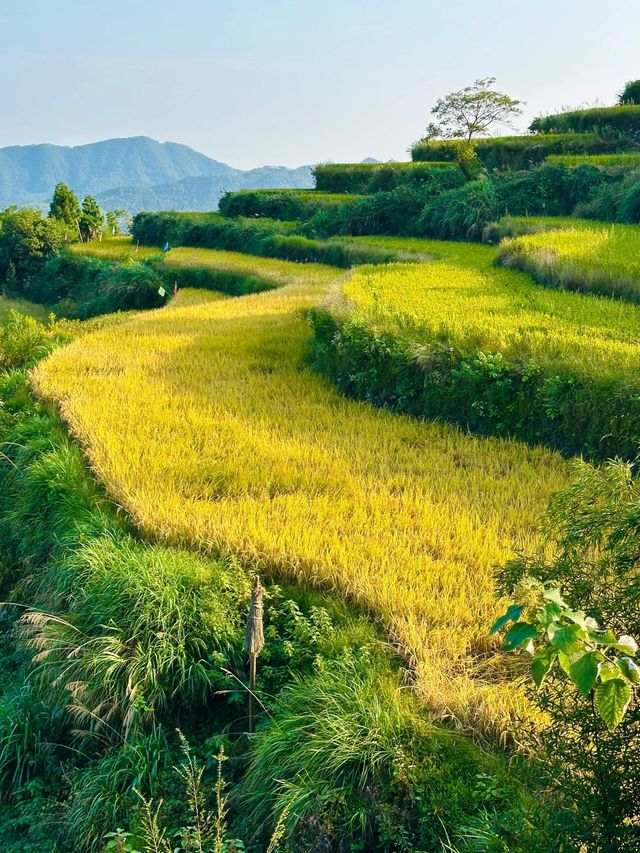 固原梯田｜觸摸大地指紋，邂逅最美梯田。