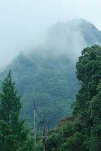 金華山下鮑村 | 世間桃花源，界外烏托邦。