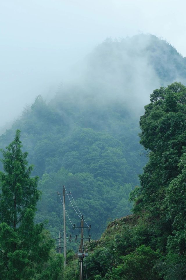 金華山下鮑村 | 世間桃花源，界外烏托邦。