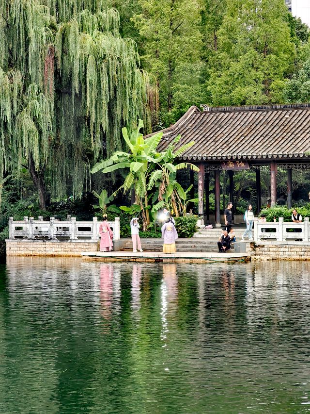 蓮花池公園 尋覓鬧市中的一刻寧靜。