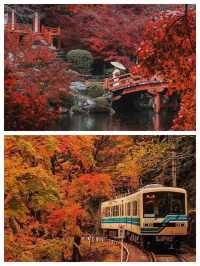 探索日本小松市的歷史與現代交融。