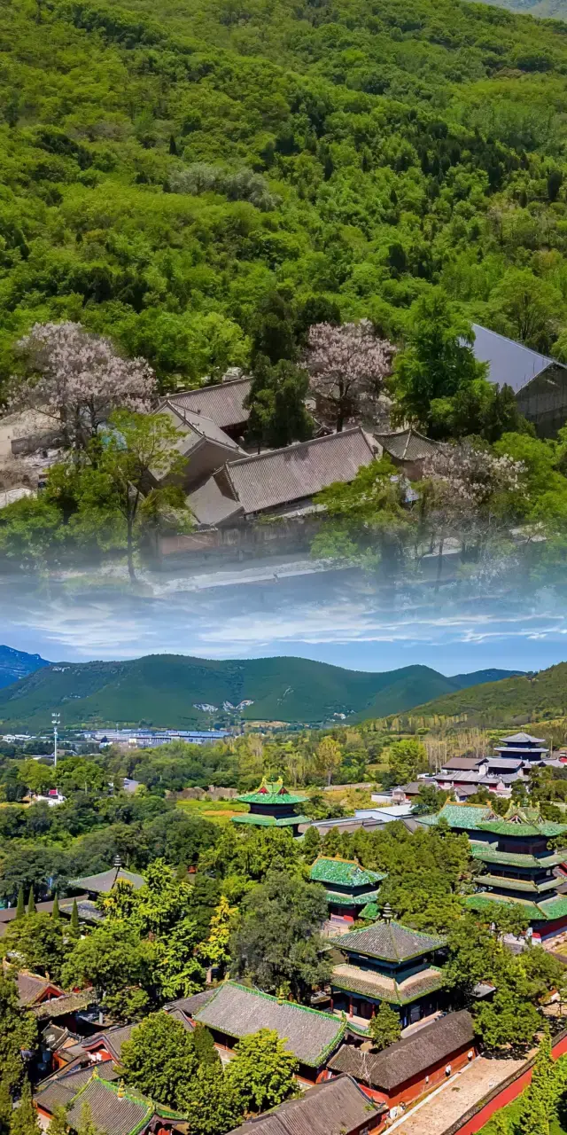 Zhengzhou Shaolin Temple | A legendary journey to a thousand-year-old temple.