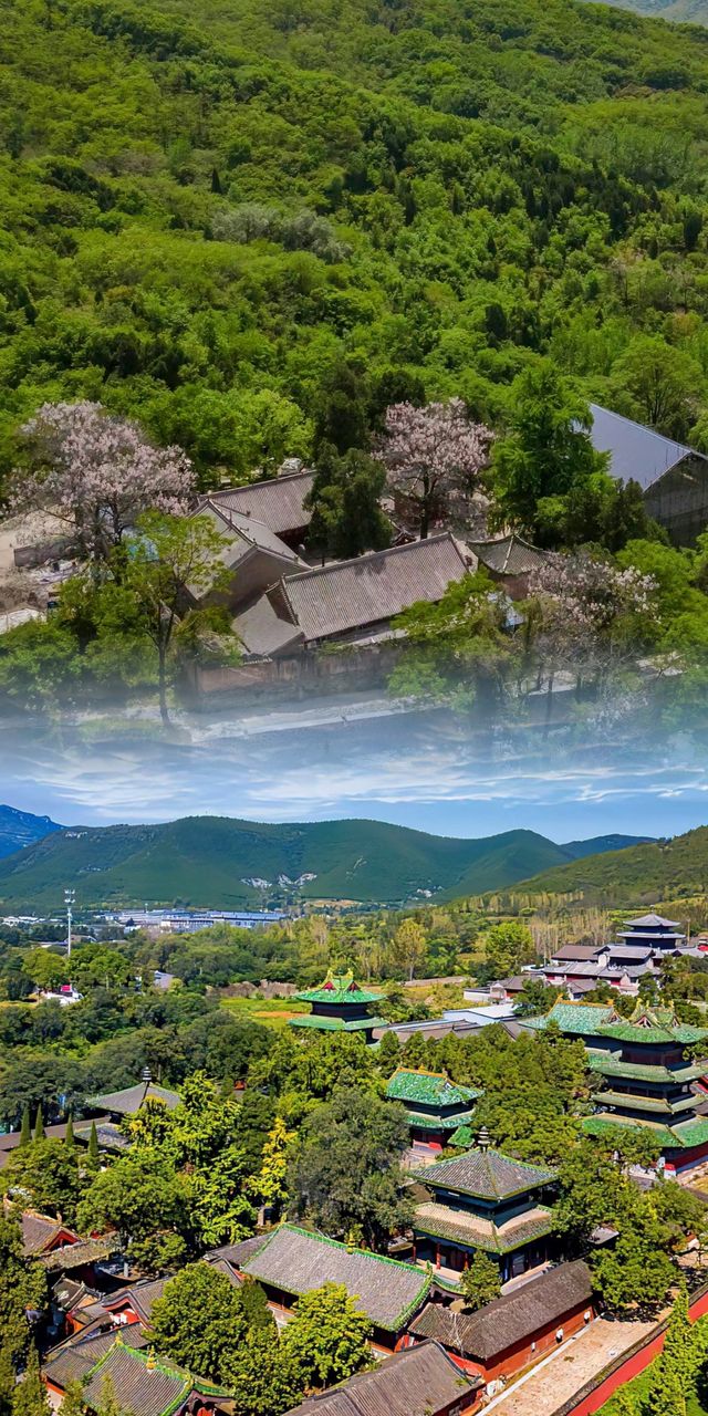 鄭州少林寺 | 千年古剎的傳奇之旅。