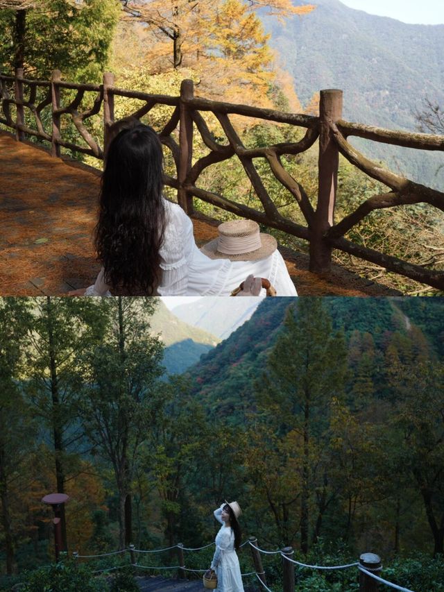 接下來的浙江堪稱秋日旅遊天花板！