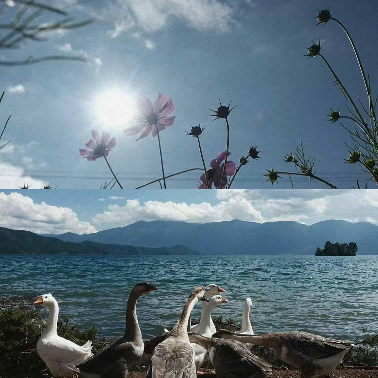 Sichuan Travel｜Who can resist the beauty of Lugu Lake? Best Leisure Tourism Destination of China National Tourism in 2018