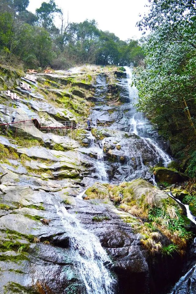 覓趣秋浦河，尋詩醉山野。