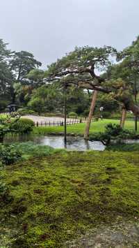 金澤兼六園雨中行…。