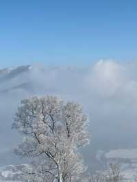 吉林北大湖|這粉雪，誰頂得住！。