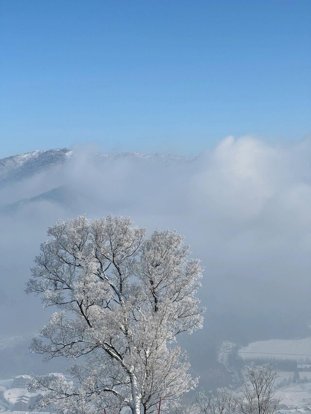 吉林北大湖|這粉雪，誰頂得住！。