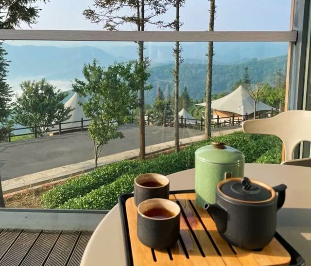 普洱倚象山營地:自然奢華的茶園之旅 普洱倚象山營地:自然奢華的茶園之旅