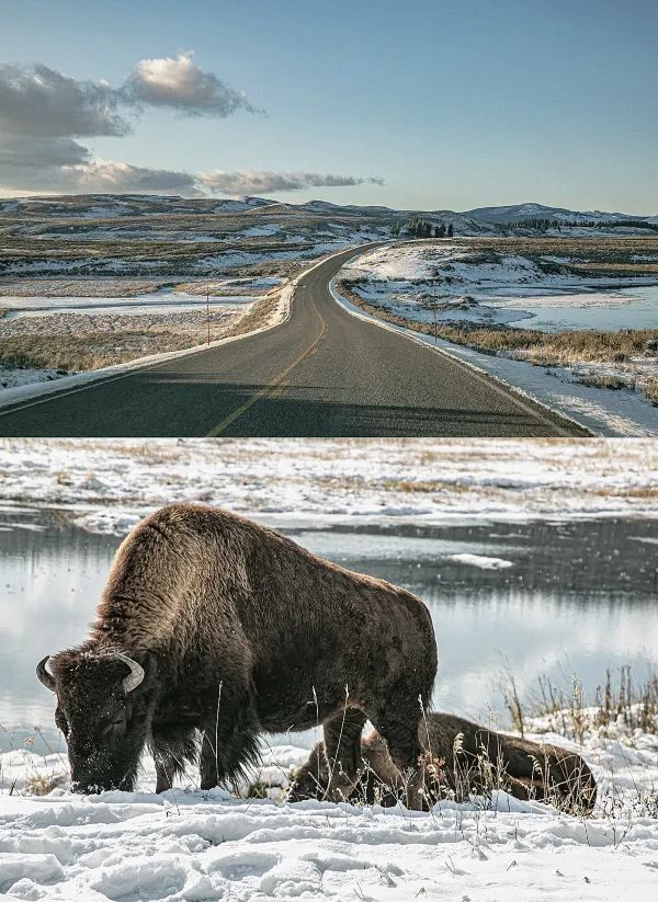 How Stunning is Yellowstone in Winter?