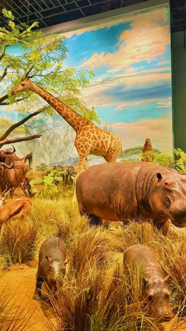 Isn't the Chengdu Museum of Natural History the largest natural history museum in Southwest China? 