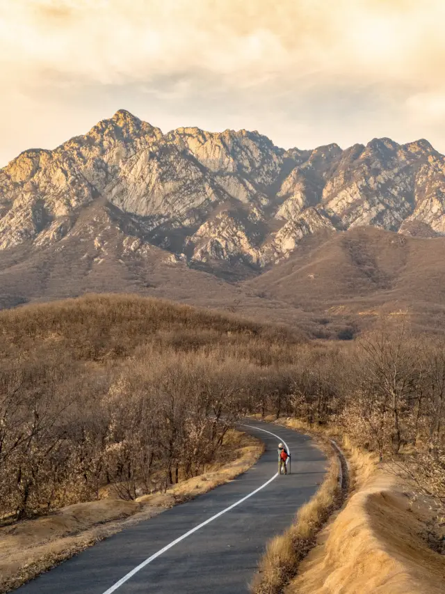 정저우에서 1시간 거리 | 숲속 비경으로 가는 길