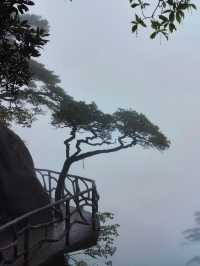 江西三清山｜三清盛景，峰奇雲繞韻無窮