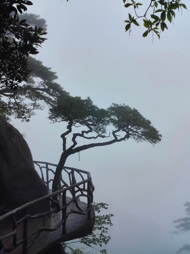 江西三清山｜三清盛景，峰奇雲繞韻無窮