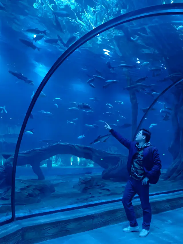 舟山版亞特蘭蒂斯 與動物親密互動