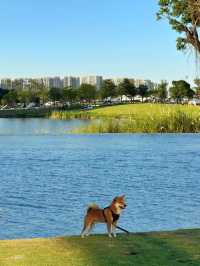 佛山！你不宣傳這個絕美露營公園你糊塗啊